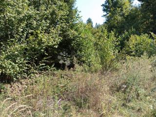 Terreno Delnice, 12.071m2