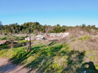 Terreno agricolo vicino al mare