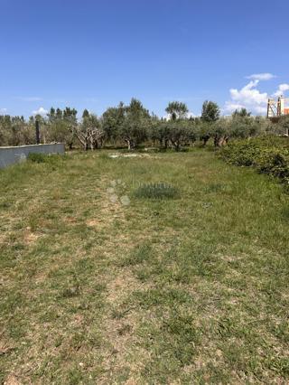 Terreno edificabile Sabunike, Privlaka, 1.019m2