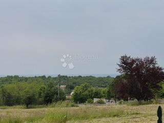Terreno edificabile Poreč, 2.000m2