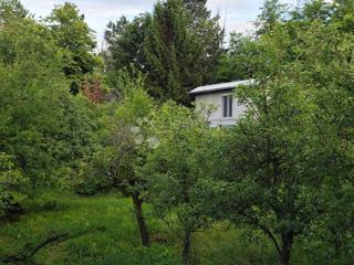 Casa Zmajevac, Kneževi Vinogradi, 150m2