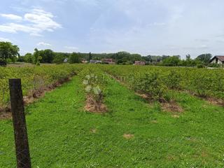 Terreno edificabile Paruževina, Sesvete, 2.377m2