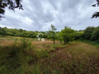 Terreno agricolo Vodnjan