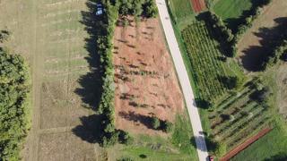 Terreno edificabile Barban, 544m2