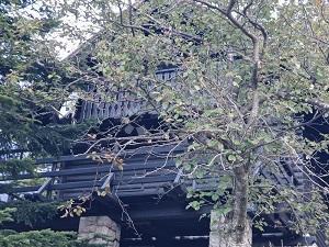 Casa Platak, Čavle, 63m2