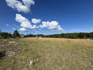 GROŽNJAN, COMPLESSO DI TERRENI COSTRUIBILI E AGRICOLI