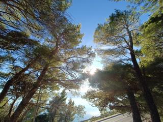 Terreno edificabile Lokva Rogoznica, Omiš, 752m2