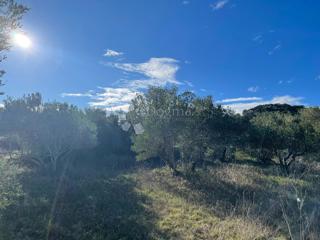 Terreno edificabile Kraj, Pašman, 1.900m2