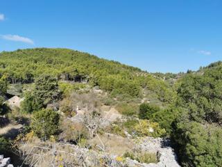 Terreno agricolo Potirna, Blato, 8.000m2