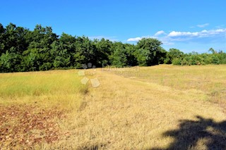 ESCLUSIVO SPAZIOSO TERRENO AGRICOLO