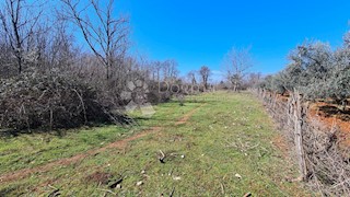 Terreno Savudrija, Umag, 5.872m2