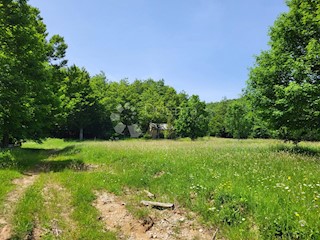 Terreno Bribir, Vinodolska Općina, 7.018m2