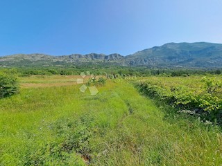 Terreno Mihanići, Konavle, 5.675m2