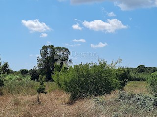 Terreno Veli vrh, Pula, 718m2