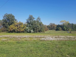 Terreno Nedešćina, Sveta Nedelja, 40.000m2