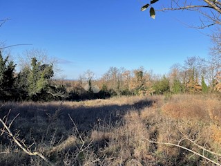 TERRENO EDIFICABILE IN BELLA POSIZIONE, DINTORNI ABITABILI