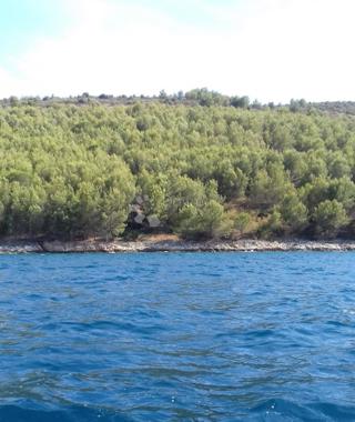 Terreno agricolo Marina, 4.909m2