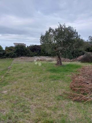 Terreno edificabile Turanj, Sveti Filip I Jakov, 1.176m2