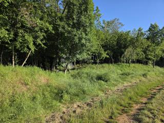 Terreno agricolo Kaštelir, Kaštelir-Labinci, 32.620m2