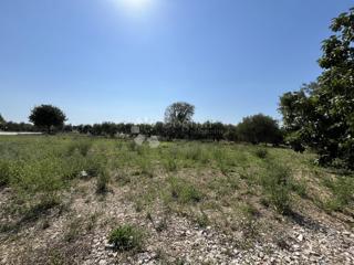 Terreno edificabile Poreč, Poreč, Poreč, Istarska županija, 817m2