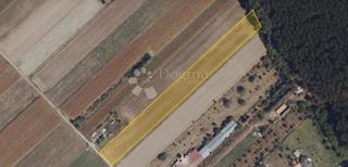 Terreno edificabile Josipovac, Osijek - Okolica, 9.849m2