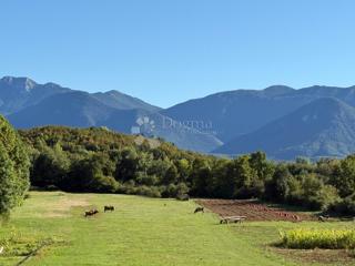 ŽITNIK TERRENO EDIFICABILE 13000 m2