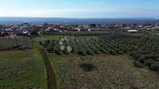 Terreno edificabile Kaštelir, Kaštelir-Labinci, 1.200m2