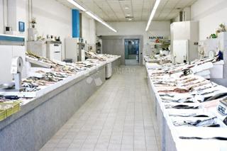 Locale commerciale Donji grad, Donji Grad, 14,23m2