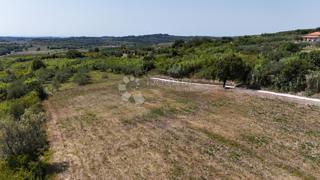 Terreno edificabile Buje, 1,03m2