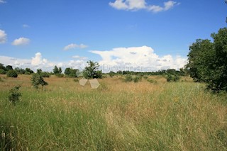 Terreno Svetvinčenat, 12.607m2