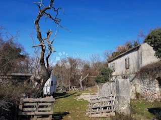 Terreno Skrbčići, Krk, 7.594m2