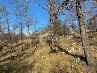 Terreno Breza, Klana, 13.163m2