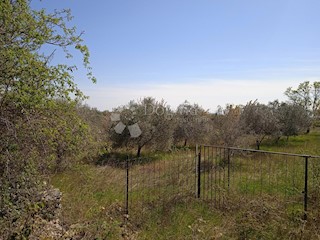 Terreno Vodnjan, 8.269m2