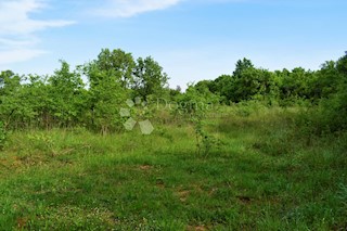 SPAZIOSO TERRENO AGRICOLO