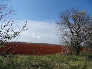 Terreno Kaštelir, Kaštelir-Labinci, 57.374m2