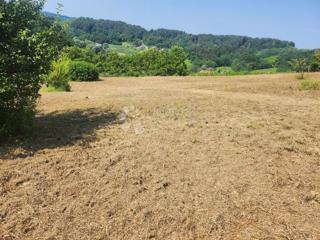 Terreno Bušin, Pregrada, 3.697m2