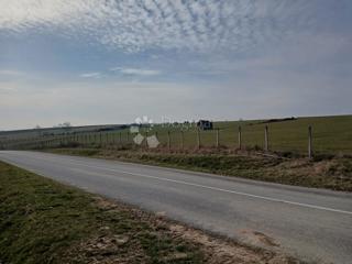 Terreno agricolo Kutjevo, 270.000m2