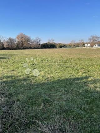 Terreno Barbariga, Vodnjan, 3.985m2