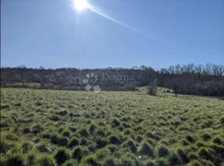 TERRENO IDEALE IN CENTRO CITTÀ, 1652 m2
