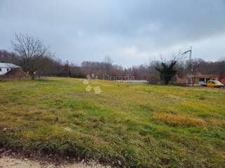 Terreno Žminj, 6.046m2