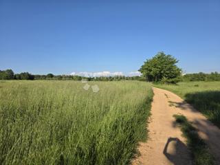 Terreno agricolo Kaštelir, Kaštelir-Labinci, 32.620m2
