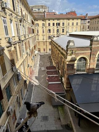 Allogio Brajda, Rijeka, 157m2