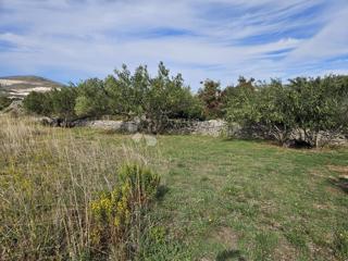 Terreno agricolo Plano, Trogir - Okolica, 2.245m2