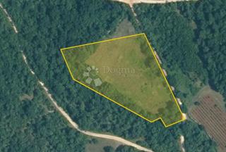 Ampio terreno agricolo vicino a Rovigno