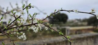 Terreno edificabile Barbariga, Vodnjan, 534m2