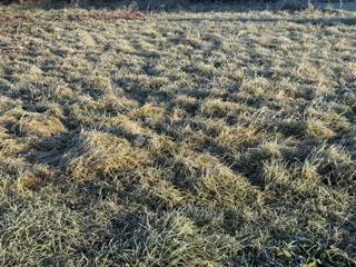 Terreno edificabile Centar, Čakovec, 520m2