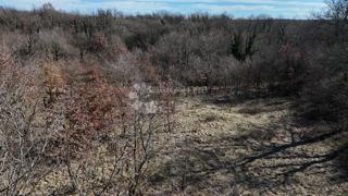 Terreno edificabile Orbanići, Žminj, 3.000m2