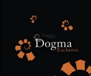 Allogio Duće, Dugi Rat, 46,73m2