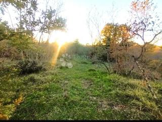 Terreno agricolo Bale, 22.277m2