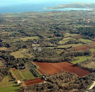 Terreno Ližnjan, 16.000m2